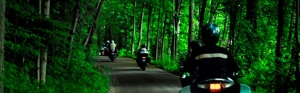 group of riders in the forest